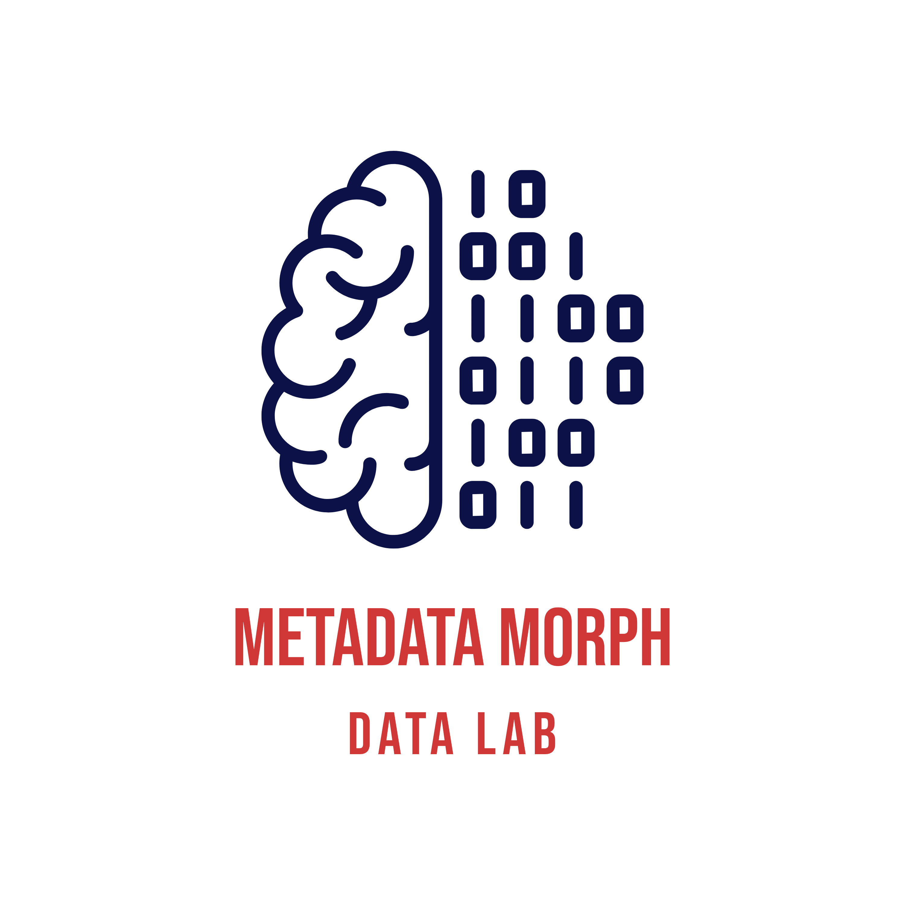 Metadata Morph
